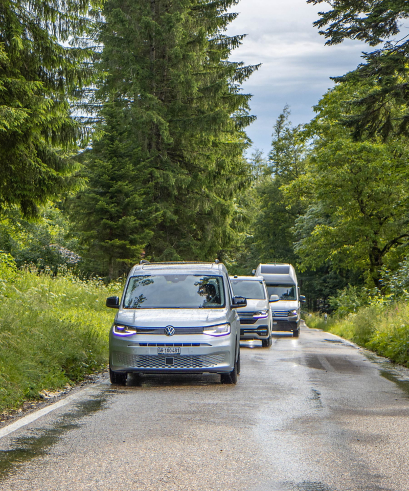 Caddy California, Grand California und California 6.1 fahren hintereinander auf einer Waldstrasse
