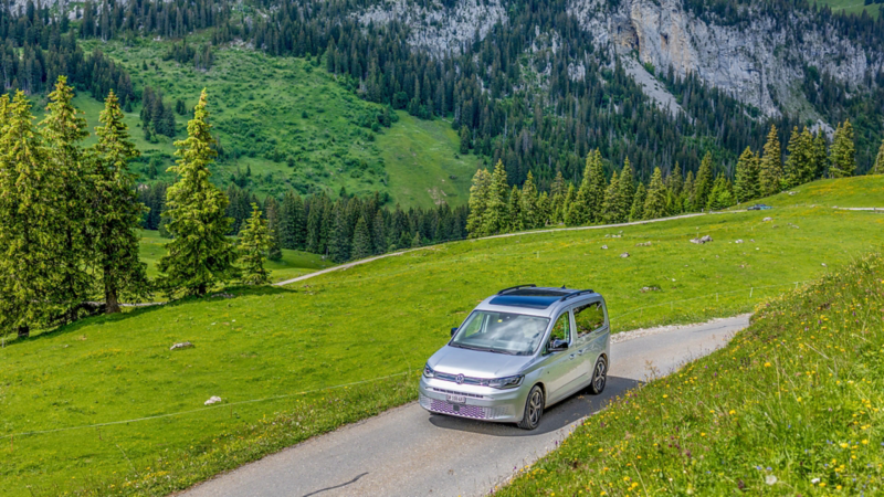Caddy California conduisant sur une piste de terre