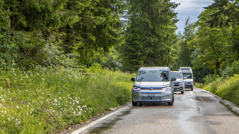 Caddy California, Grand California und California 6.1 fahren hintereinander auf einer Waldstrasse