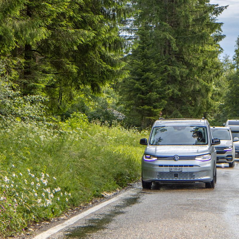 Caddy California, Grand California und California 6.1 fahren hintereinander auf einer Waldstrasse