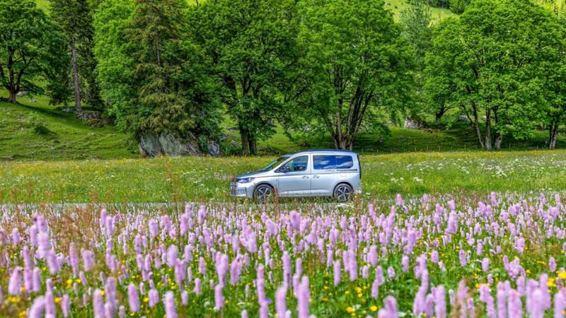 Le Caddy California est garé derrière un champ de fleurs.