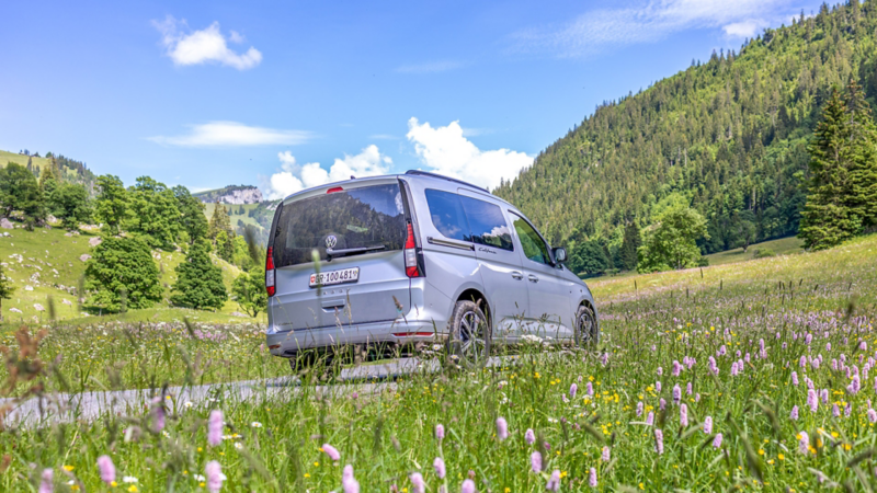 Caddy California roulant sur un chemin de campagne et des fleurs dans le pré sont visibles au premier plan.