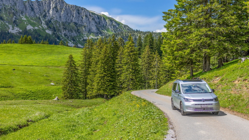 Caddy California roulant sur un chemin de terre et une forêt de sapins en arrière-plan