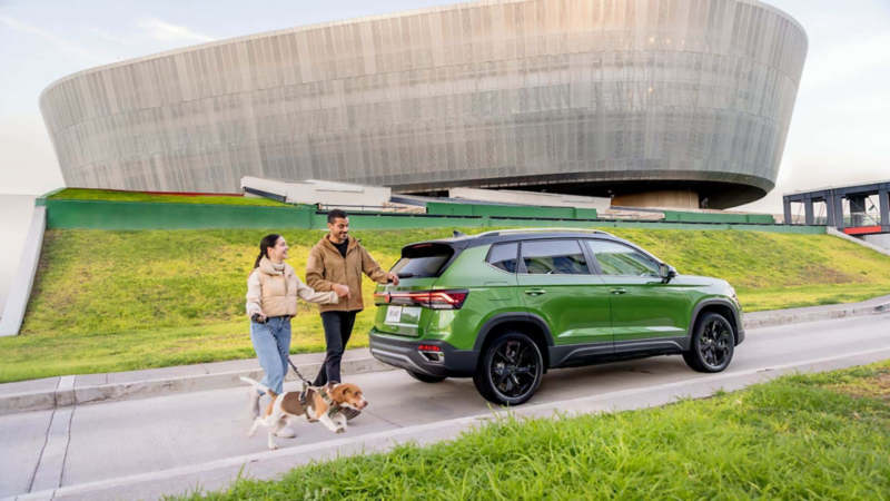 Taos de Volkswagen en color verde y pareja que atraviesa la calle con un perro beagle. 