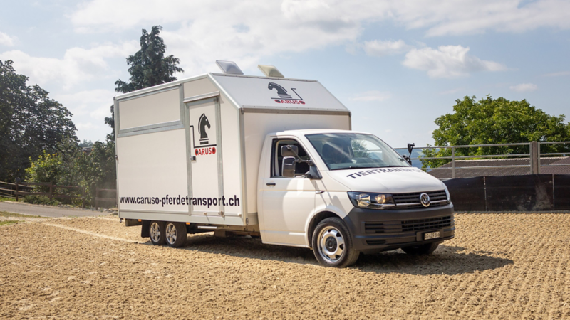 Caruso Pferdetransporter seitlich von vorne links