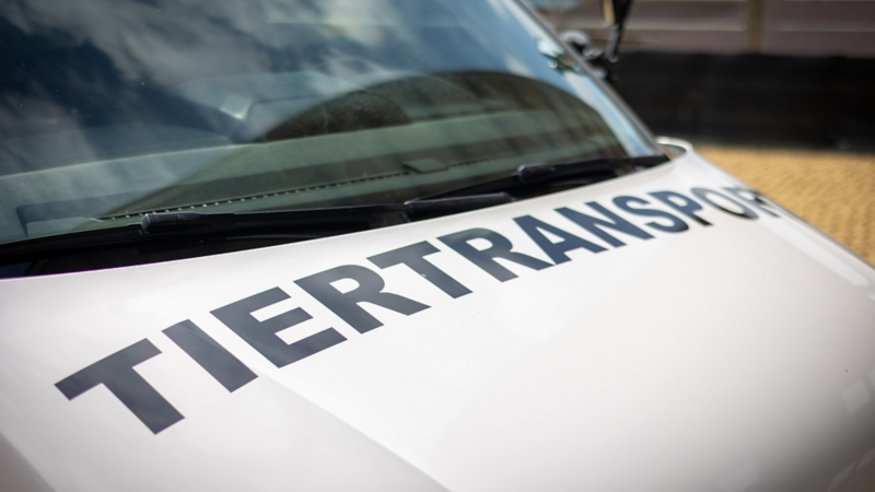 Auf dem Caruso Transporter ist die Aufschrift «Tiertransport» ersichtlich