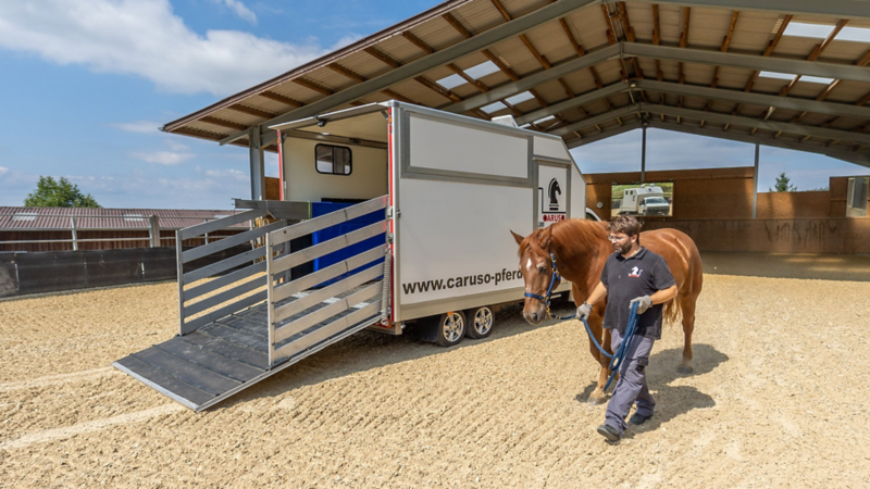 Gabriel Grunder führt ein Pferd zum Transporter