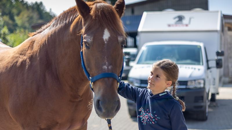 Ein Mädchen streichelt das Pferd bevor es in den Transporter geführt wird