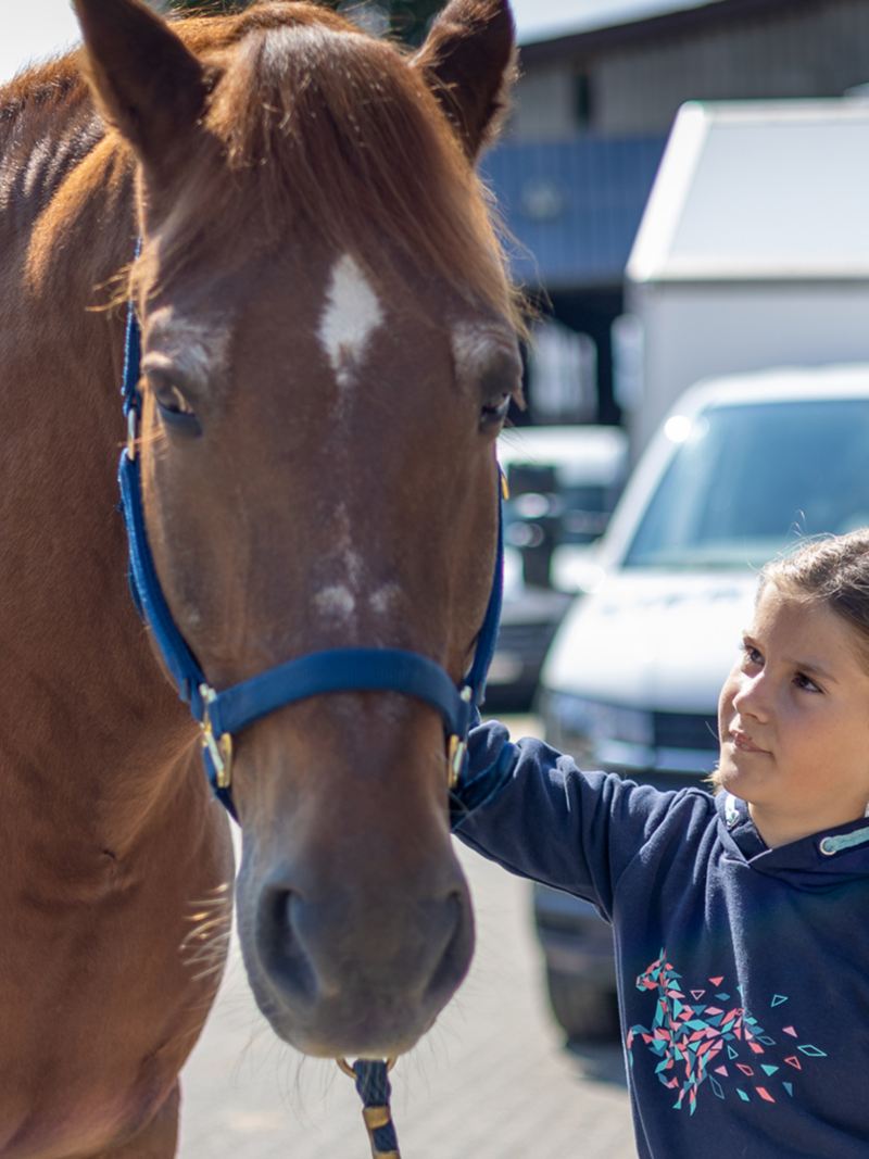 Una bambina accarezza il cavallo prima di metterlo nel trasportatore