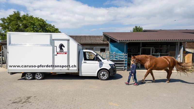 Gabriel Grunder führt ein Pferd zum Transporter