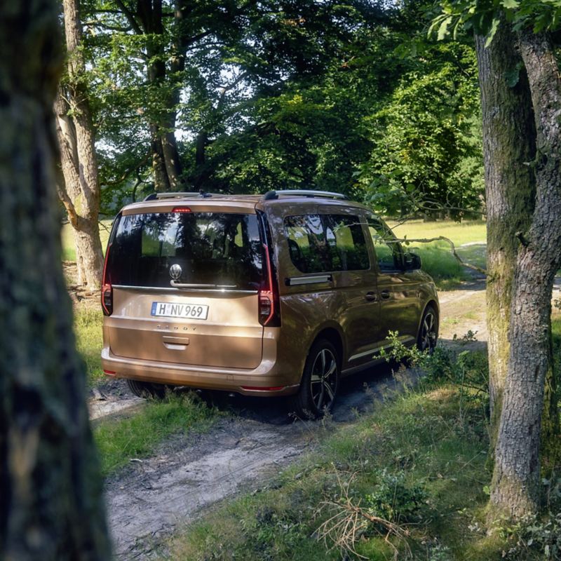 Un Caddy si trova su un sentiero forestale.