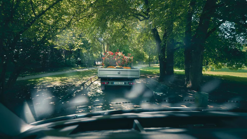 Un camion avec des fleurs dessus dans une forêt