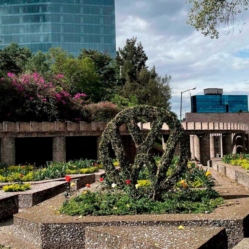 Imagen del jardín Rufino Tamayo con logo de Volkswagen hecho con plantas.