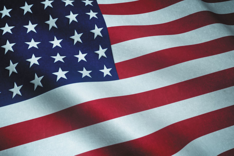 Garbus w USA