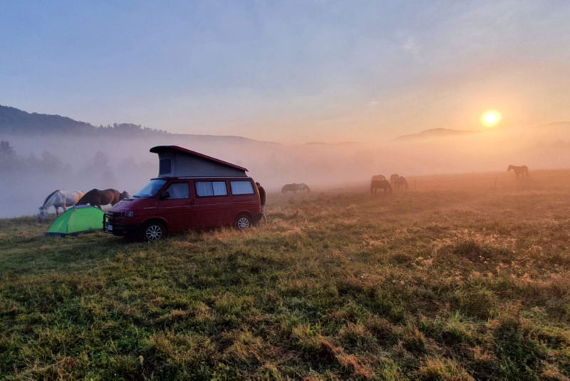 Czerwony Volkswagen stoi na zamglonej polanie.