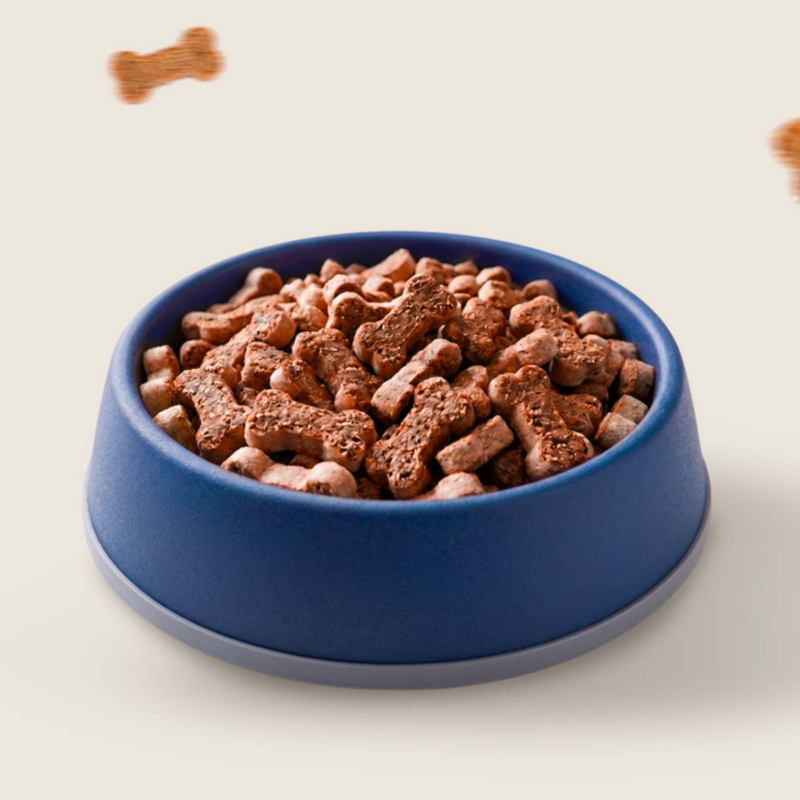Plato redondo azul con alimento para perros en un fondo blanco. 