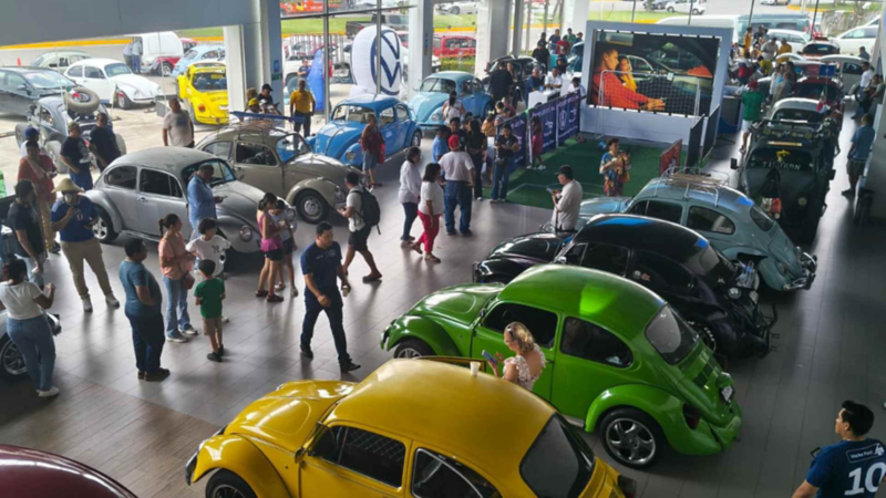 Asistentes observan varios autos Volkswagen Sedan en concesionaria durante Vocho Fest.