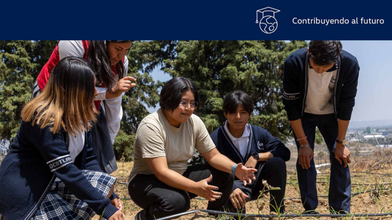 Estudiantes de una escuela realizan una práctica de estudio en campo abierto. 