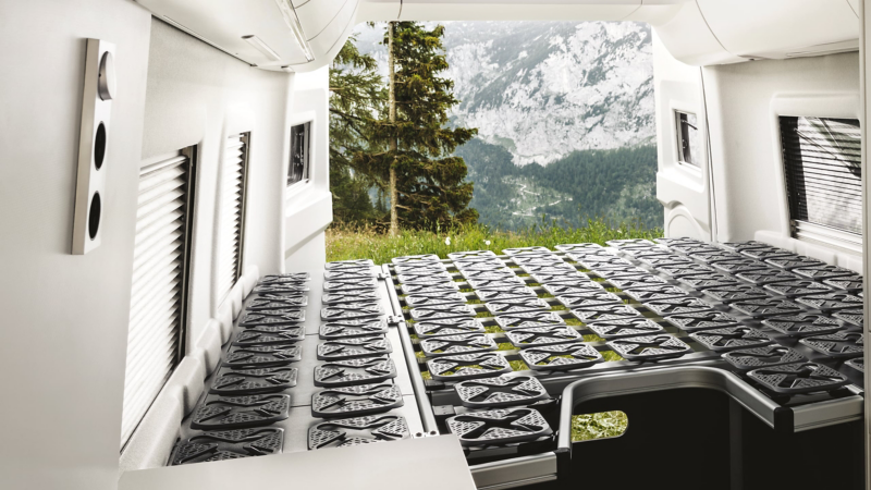 The spacious rear bed in the California 680 without a mattress. We see the comfortable dish springs.