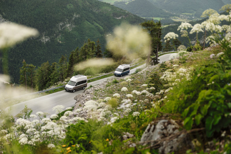 zwei VW Grand California Modelle fahren auf einer Gebirgsstraße.