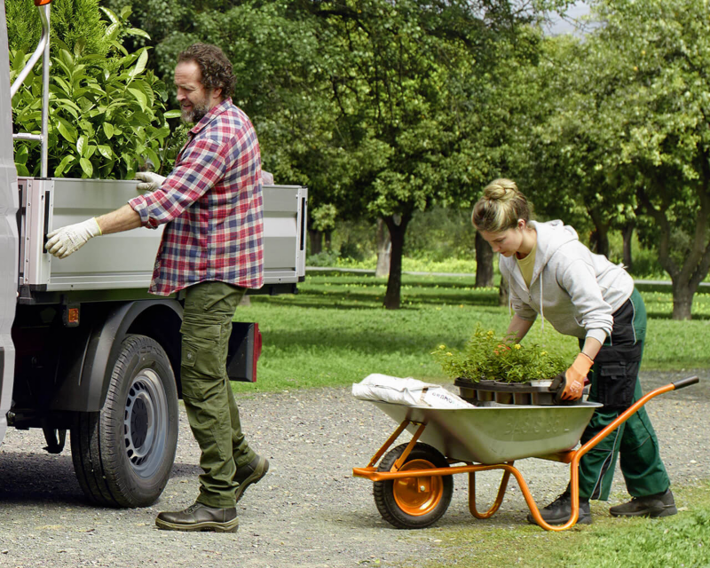 Crafter Chasis Cabina 2025 para servicios de jardinería