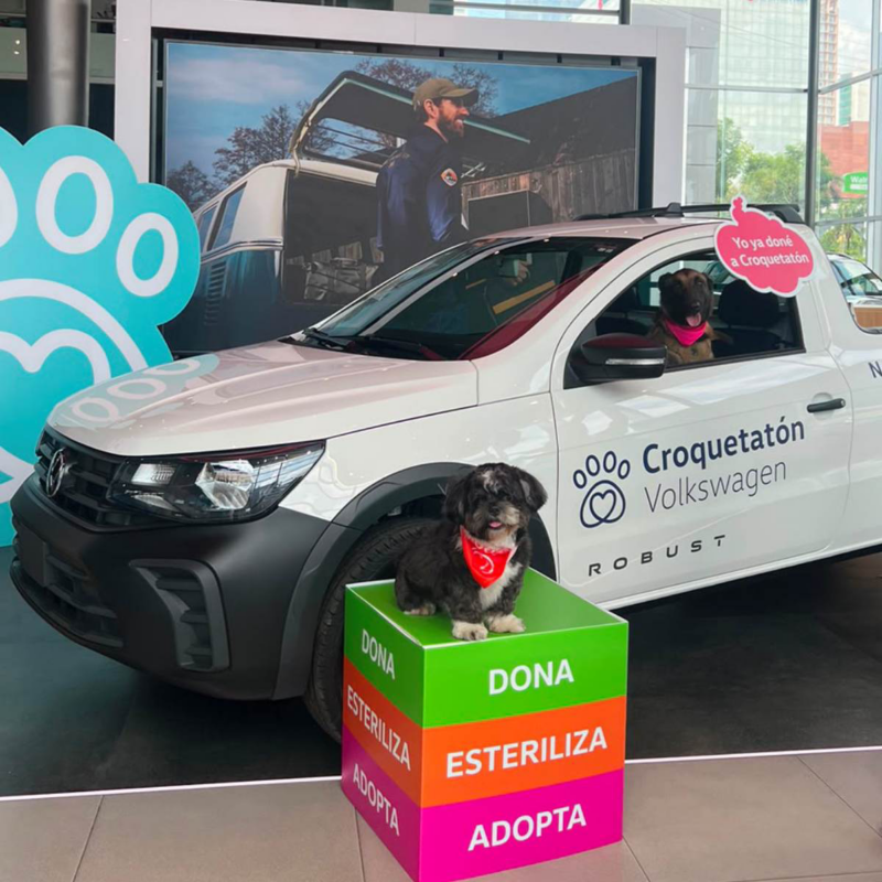Camioneta Volkswagen blanca junto a perros, carteles y elementos de Croquetatón dentro de una concesionaria.