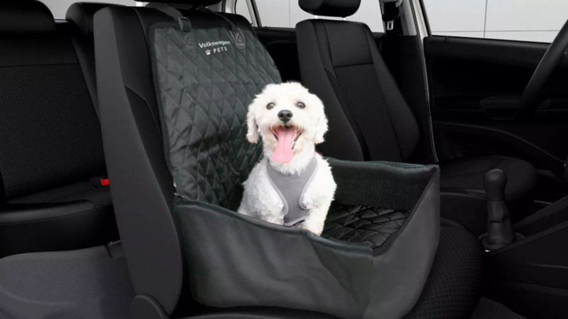Perro dentro de accesorio para el interior de auto Volkswagen. 