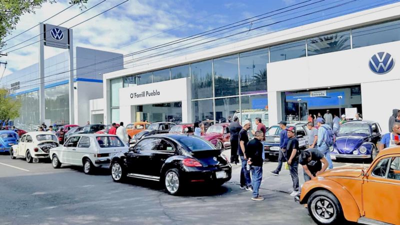 Agencia de Volkswagen O'Farril de Puebla con vochos reunidos en el Vocho Fest.