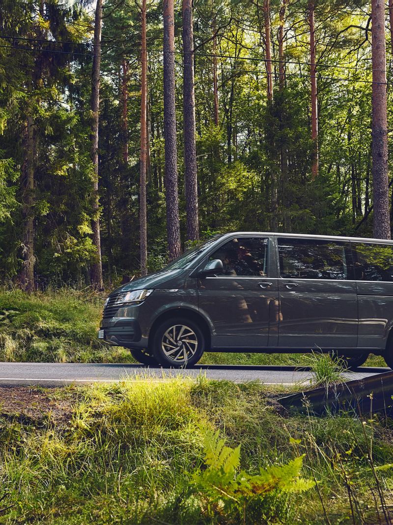 Une Volkswagen Caravelle traverse une forêt.