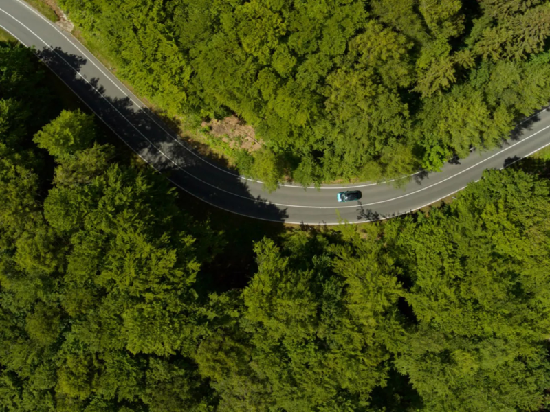a downwards shot of a VW car driving on a tree lined road