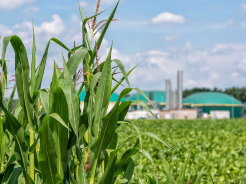 An image of a field with a power plant out of shot