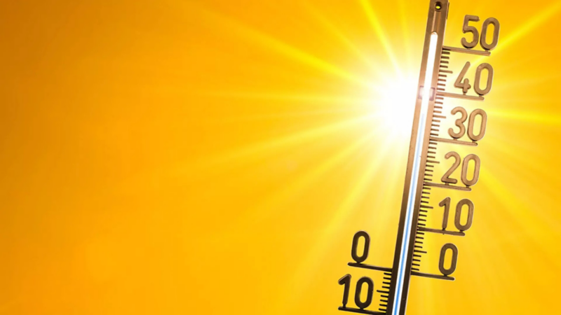 Temperature scale