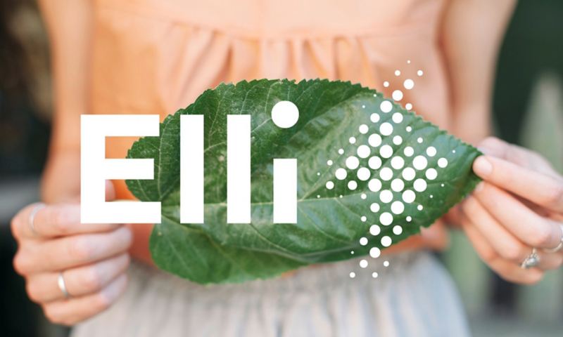 Elli-Logo Darstellung.