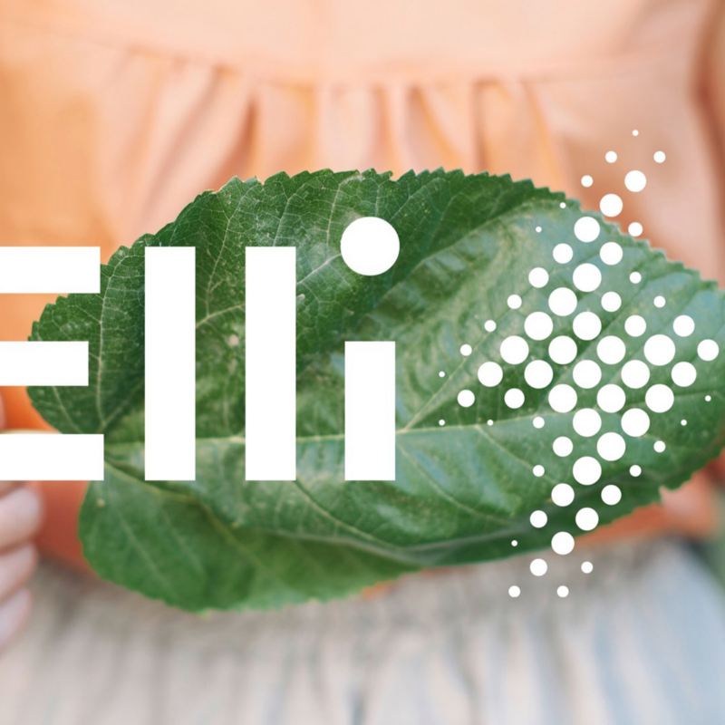 Elli-Logo Darstellung.