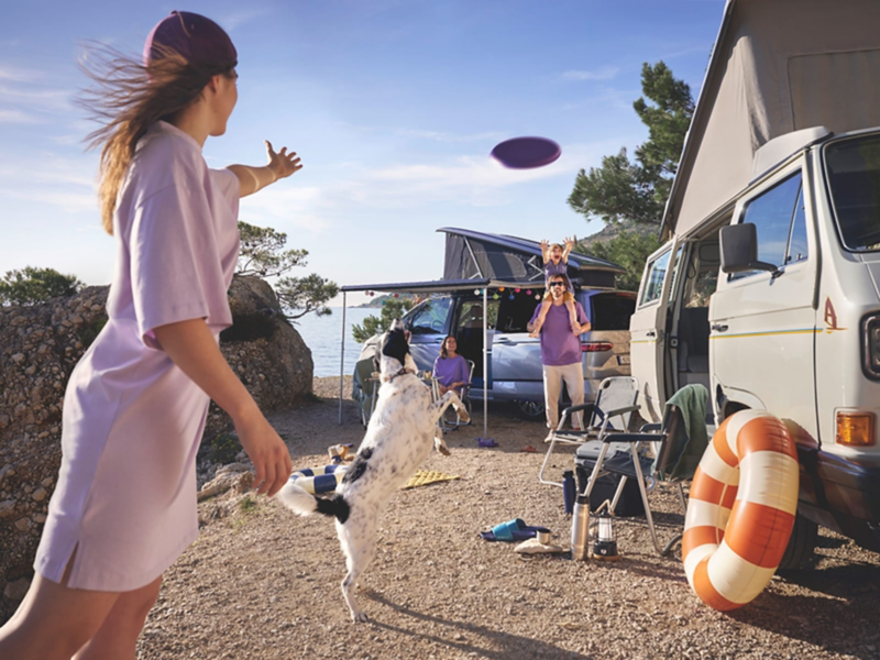 Personas y perro jugando con un frisbee en un día soleado con sus furgos Volkswagen aparcadas al fondo