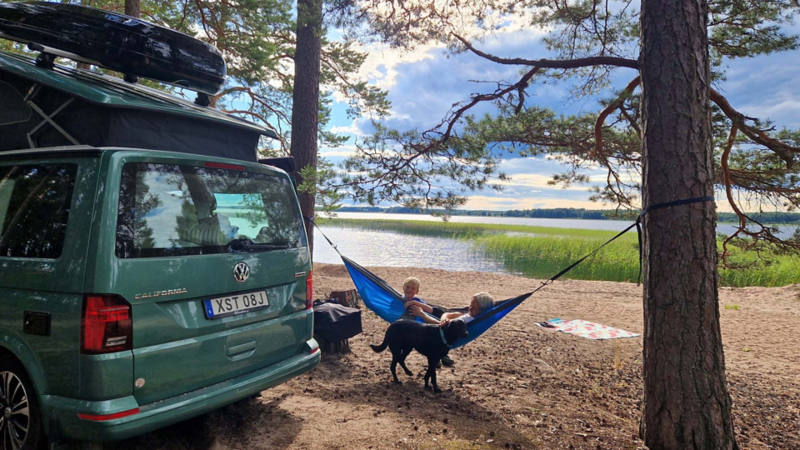VW California Ocean framför en hängmatta med barn och hund