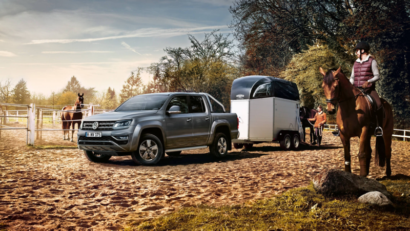 Trekvermogen Amarok Paard
