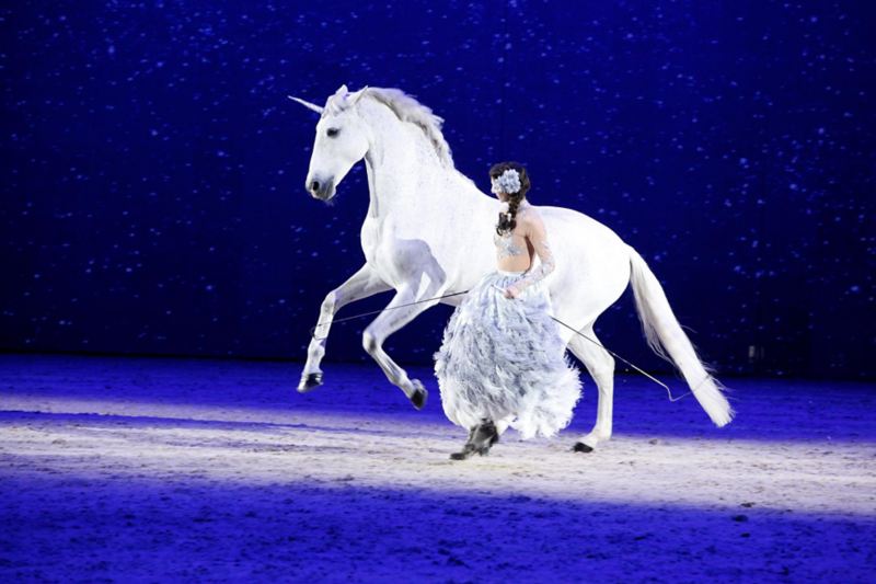 Alizée Froment bjöd på frihetsdressyr med hästen Sultan på Friends Arena