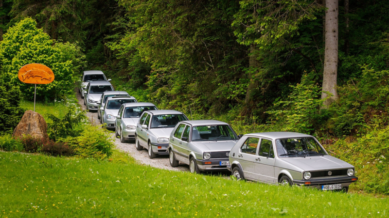 Sämtliche Generationen des Golfs fahren hintereinander in einem Wald