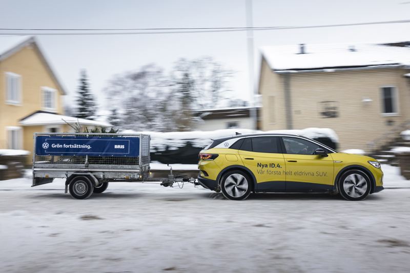 En gul VW ID.4 med ett släp fyllt med granar
