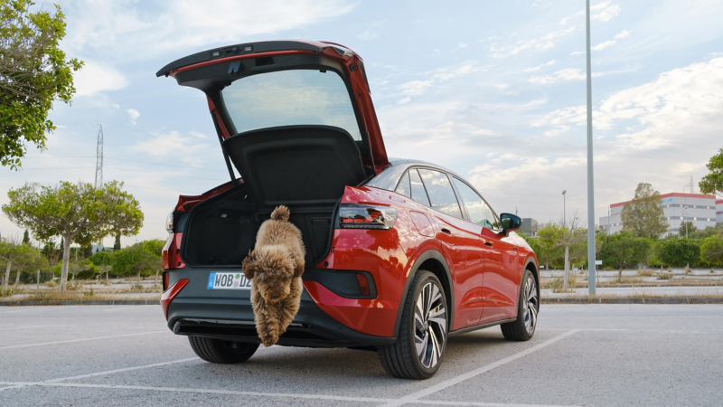 A dog jumping from the back of the red ID.5