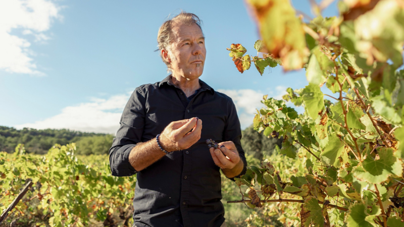 Patrick Hemmelmayr mangia le olive accanto agli ulivi