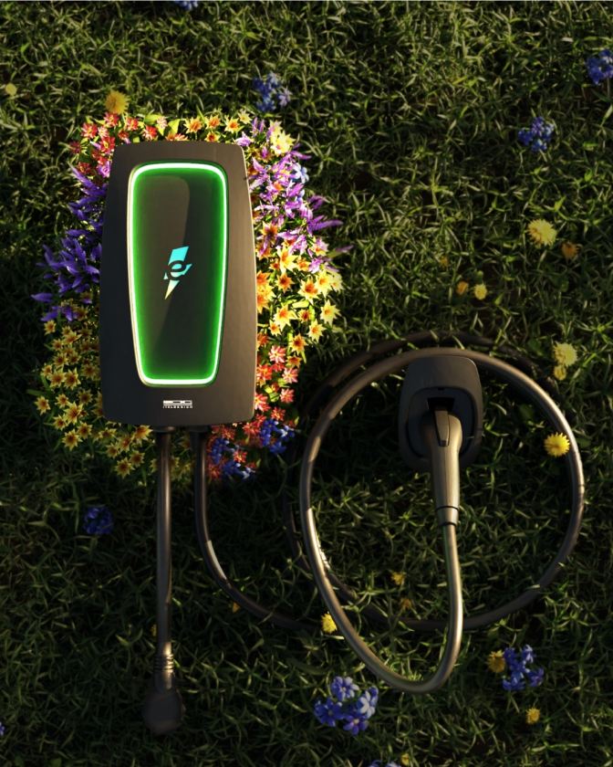 Homecharger with flowers growing out of wall.