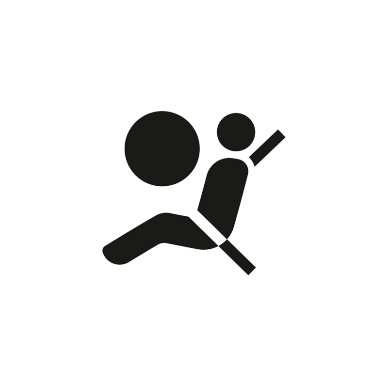 aibags