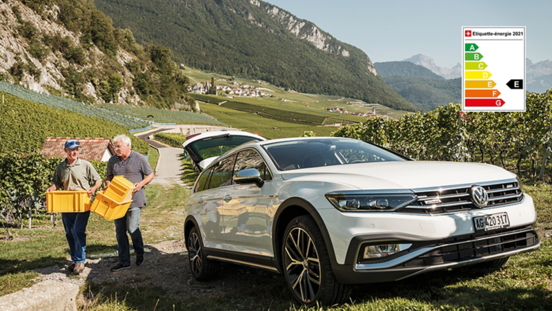 Passat Alltrack steht in Weinreben und zwei Männer laufen vorbei
