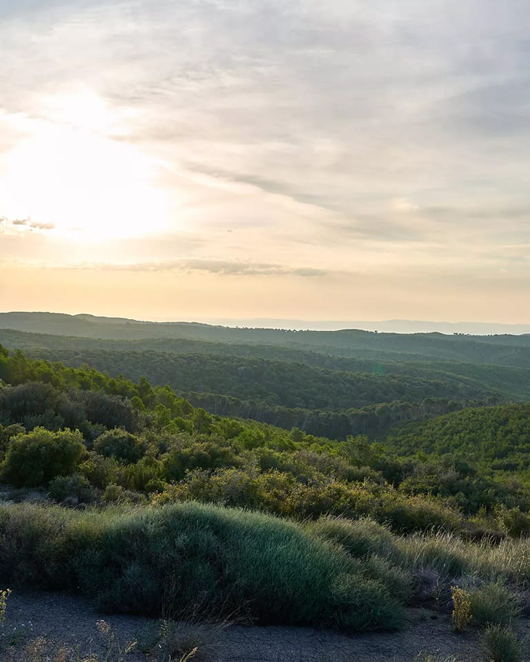 Paisaje de montaña atardeciendo