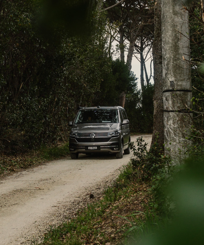 La VW Agribus se trouve dans une forêt.