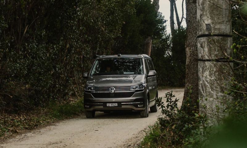 La VW Agribus se trouve dans une forêt.