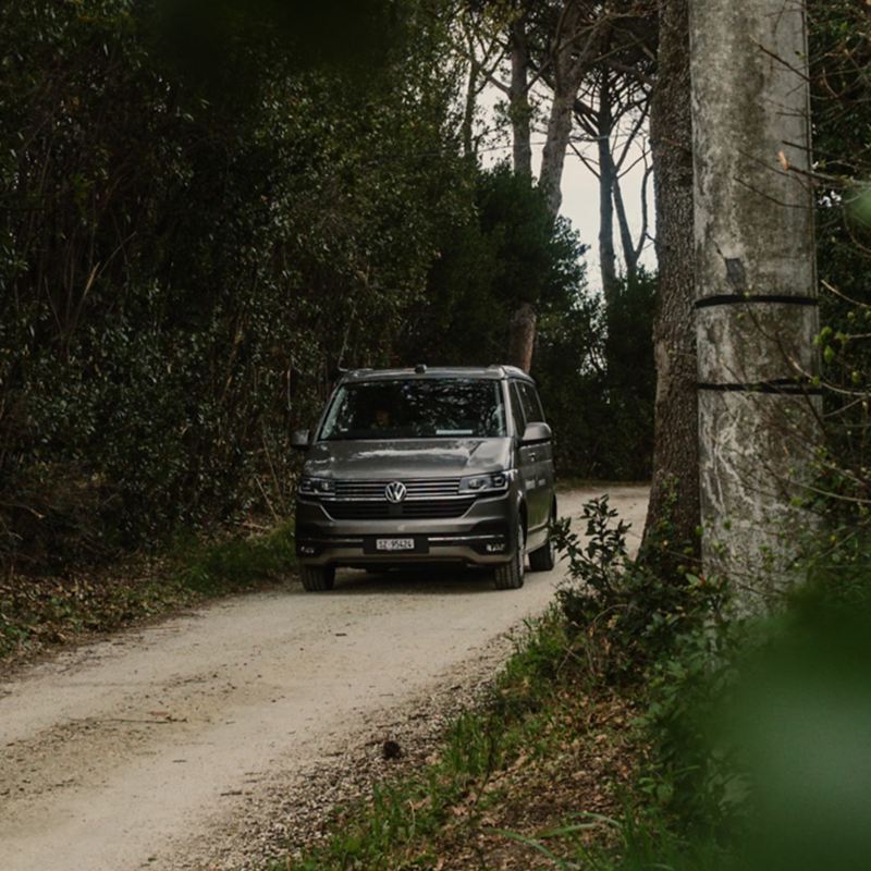 La VW Agribus se trouve dans une forêt.