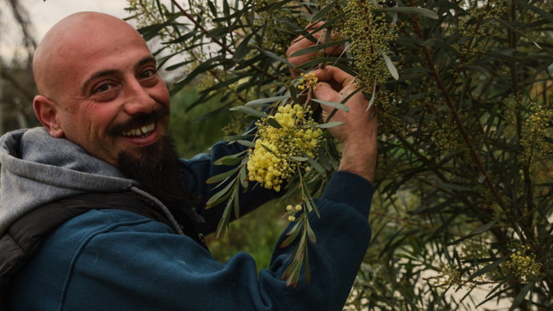 Un homme qui montre des fleurs sur un arbuste.